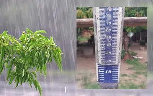 Pluviômetro registra cerca de 18 mm de chuva em Coivaras
