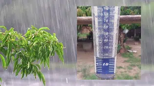 Pluviômetro registra cerca de 18 mm de chuva em Coivaras