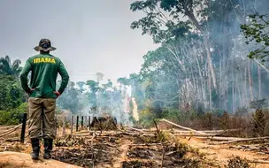 STF vai definir competência da Justiça Federal em crimes ambientais