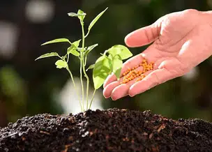 Pesquisa da UFPI desenvolve filamentos biodegradáveis para liberação controlada de fertilizantes