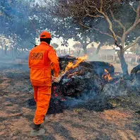 Corpo de Bombeiros registra quase 6 mil incêndios no Piauí em 2026