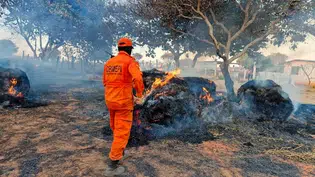 Corpo de Bombeiros registra quase 6 mil incêndios no Piauí em 2026