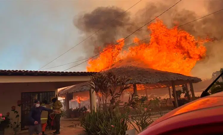 Incêndio de grandes proporções atinge área de mata e assusta moradores em Bom Jesus