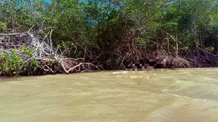 Homem é encontrado morto em mangue no Rio Iguaçu, no litoral do Piauí