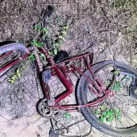 Homem é encontrado morto ao lado de bicicleta em Cocal dos Alves