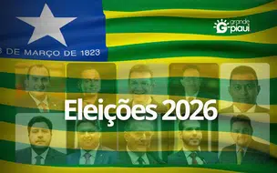 Piauí elege 10 deputados federais; veja a lista dos eleitos
