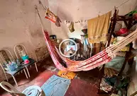 Operação resgata idosa e 10 animais em situação de negligência em Parnaíba