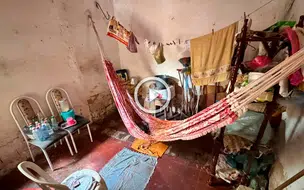 Operação resgata idosa e 10 animais em situação de negligência em Parnaíba