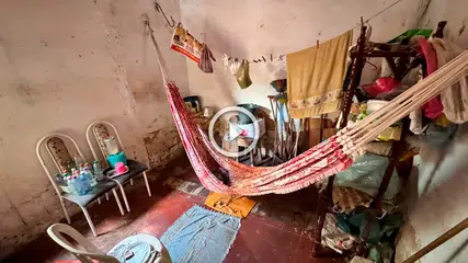 Operação resgata idosa e 10 animais em situação de negligência em Parnaíba