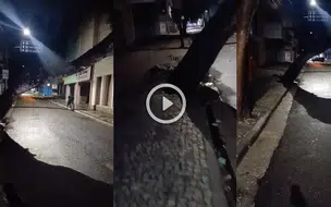 Árvore ameaça cair no Centro de Teresina e pode causar acidente