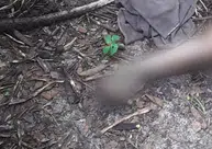 Corpo de mulher é encontrado em decomposição na zona rural de Altos