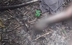 Corpo de mulher é encontrado em decomposição na zona rural de Altos