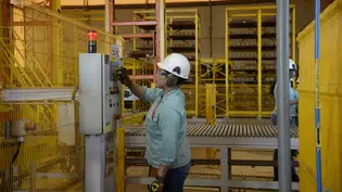 Ipea diz que mercado de trabalho pode absorver fim da escala 6x1