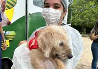 Governo do PI vai garantir abrigo, cuidado a animais vítimas de maus-tratos apreendidos pela polícia