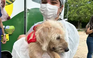 Governo do PI vai garantir abrigo, cuidado a animais vítimas de maus-tratos apreendidos pela polícia