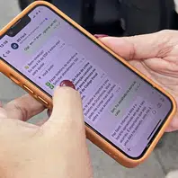 SSP-PI orienta uso do BO Fácil diante de ocorrências durante o Carnaval