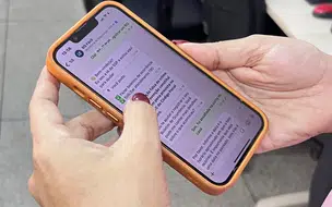 SSP-PI orienta uso do BO Fácil diante de ocorrências durante o Carnaval