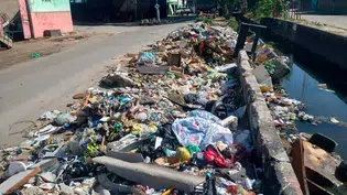 Projeto de lei prevê aplicação de multa a quem descartar lixo irregularmente no Piauí