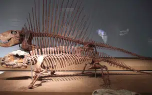 UFPI lidera descoberta inédita de pelicossauros no Brasil