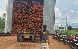 PRF apreende mais de 69 m³ de madeira ilegal em Teresina