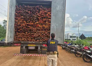PRF apreende mais de 69 m³ de madeira ilegal em Teresina