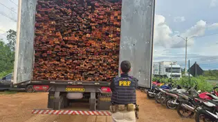 PRF apreende mais de 69 m³ de madeira ilegal em Teresina