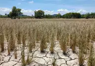 Piauí tem 224 municípios com algum nível de seca em janeiro de 2026