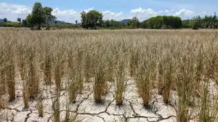 Piauí tem 224 municípios com algum nível de seca em janeiro de 2026