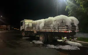 PRF intercepta caminhão com mais de 1 tonelada de tilápias vivas em Piripiri