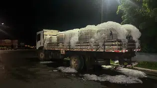 PRF intercepta caminhão com mais de 1 tonelada de tilápias vivas em Piripiri