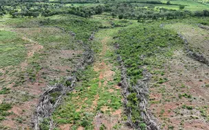 Piauí possui mais de 1.500 hectares de desmatamento ilegal