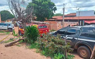 Filhos são presos suspeitos de matar o pai e jogar corpo em poço no Piauí