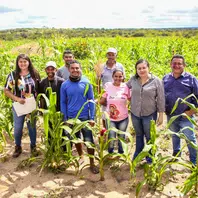 Piauí vai investir mais de R$ 66 milhões em assistência técnica para fortalecer agricultura familiar