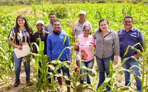 Piauí vai investir mais de R$ 66 milhões em assistência técnica para fortalecer agricultura familiar