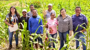 Piauí vai investir mais de R$ 66 milhões em assistência técnica para fortalecer agricultura familiar
