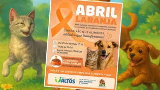 Abril Laranja mobiliza campanha por proteção animal em Altos no dia 25