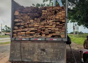 Apreensões de madeira disparam em abril, aponta SEMARH