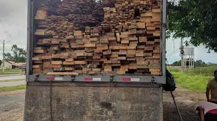 Apreensões de madeira disparam em abril, aponta SEMARH