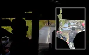 Árvore cai após chuva com ventos fortes e interdita estrada na Boa Hora