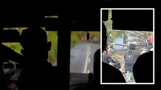 Árvore cai após chuva com ventos fortes e interdita estrada na Boa Hora