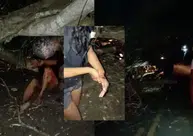 Árvore caída provoca acidente com moto e deixa jovem ferida na zona rural de Teresina