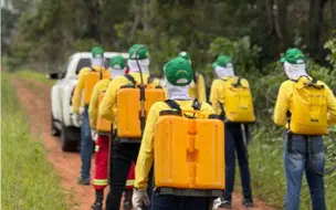 Formação de brigadistas fortalece prevenção ambiental em Altos e região