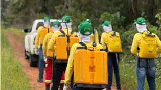 Formação de brigadistas fortalece prevenção ambiental em Altos e região