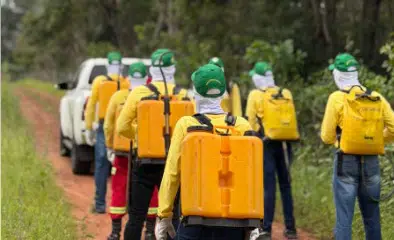 Formação de brigadistas fortalece prevenção ambiental em Altos e região