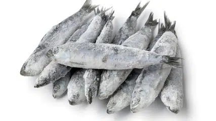 Anvisa determina recolhimento de lote de sardinha contaminada por Salmonella