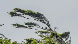 INMET emite alerta de risco para chuvas intensas e ventos fortes no Piauí