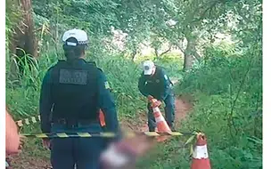 Populares encontram corpo em decomposição em matagal na zona Sul de Teresina