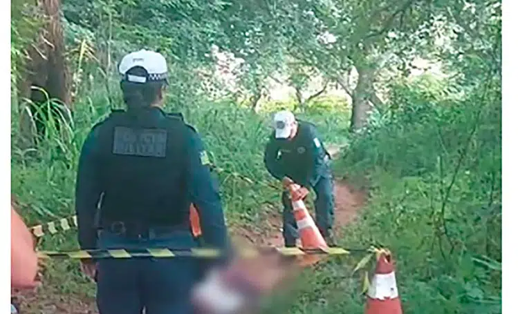 Populares encontram corpo em decomposição em matagal na zona Sul de Teresina