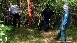 Populares encontram cadáver de mulher  em córrego na cidade de Piracuruca