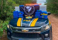 PRF apreende cerca de 90 quilos de skunk na BR-402, na Divisa do Piauí com o Maranhão